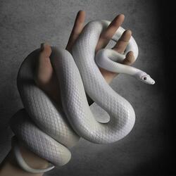 Viper 2