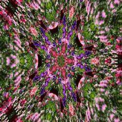 ASMR Textures: Beads in a Bowl