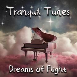 Pondering the Unknown