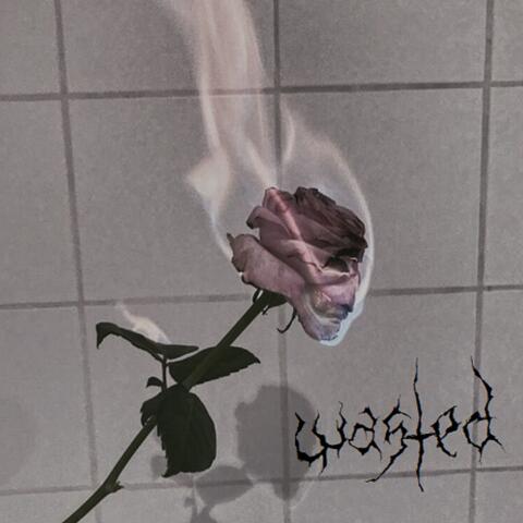 Wasted