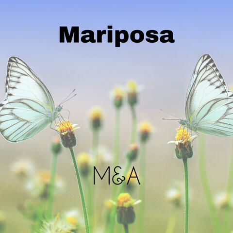 Mariposa