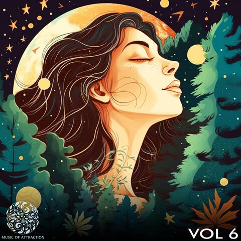 Music of Attraction, Vol. 6