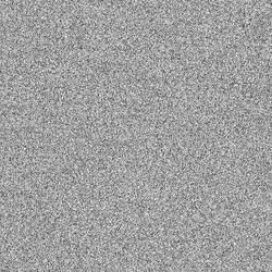 White Noise v.1