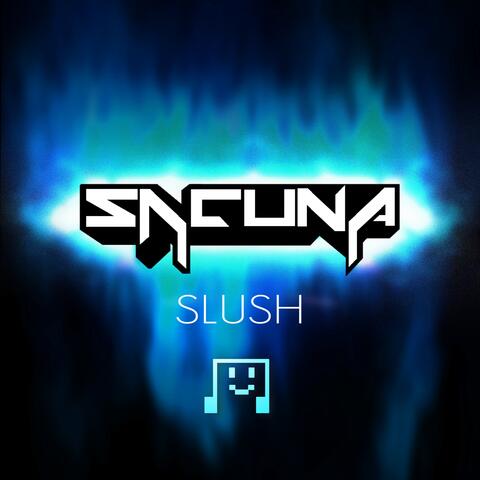 Slush