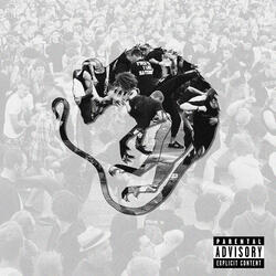 MOSH PITS IN MEMPHIS