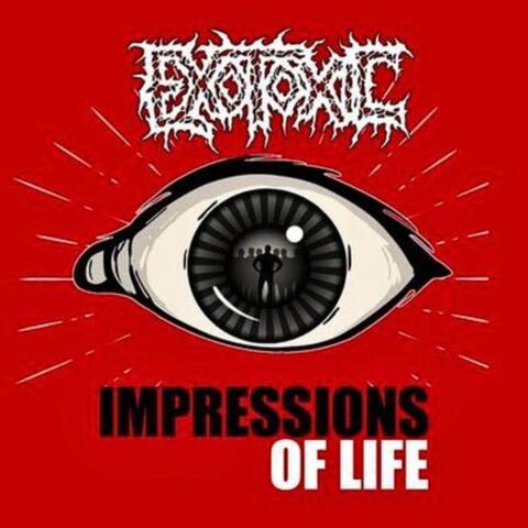 Impressions of life