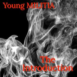 The Introduction