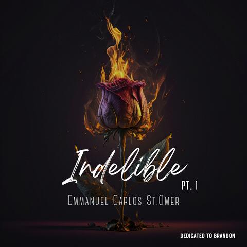 INDELIBLE, Pt. 1