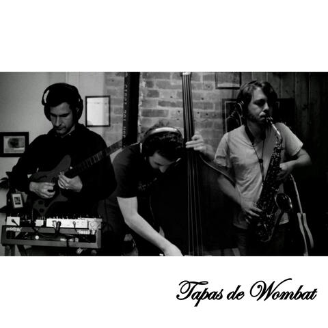 Tapas de Wombat