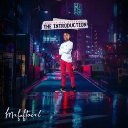 The Introduction