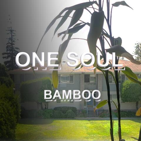 Bamboo