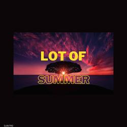 LOT OF SUMMER