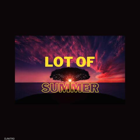 LOT OF SUMMER