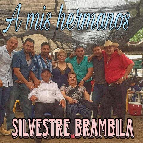 A mis hermanos