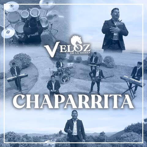 Chaparrita