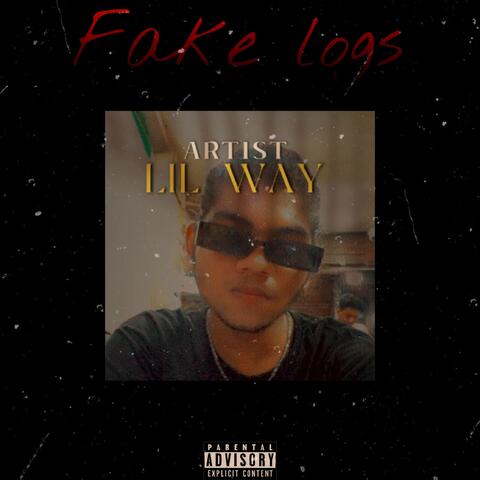 Fake Logs