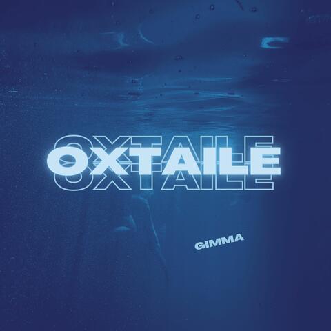 Oxtaile