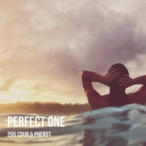 Perfect One