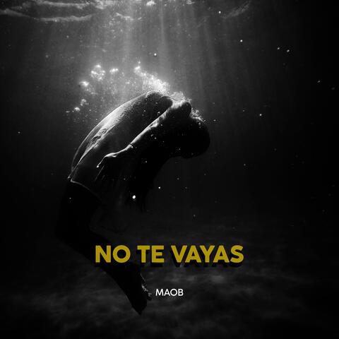 No Te Vayas