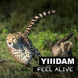 Feel Alive