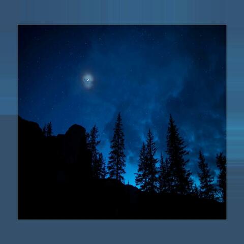 ASMR for Sleep: Peaceful Nature at Night