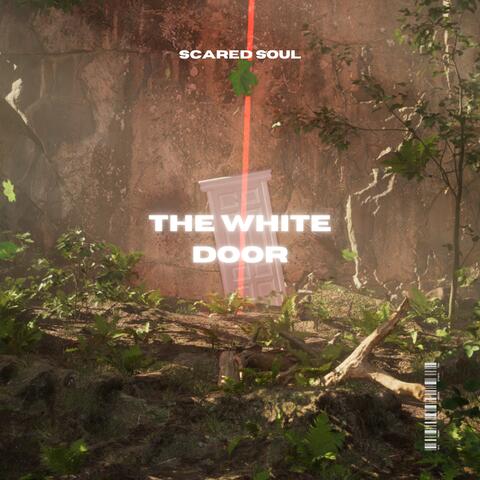 THE WHITE DOOR
