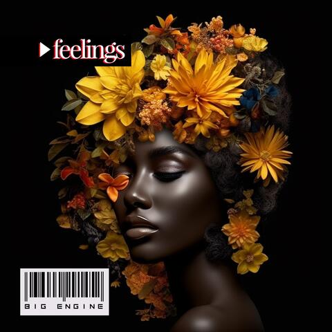 Feelings