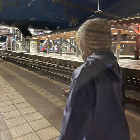 Guckis låt