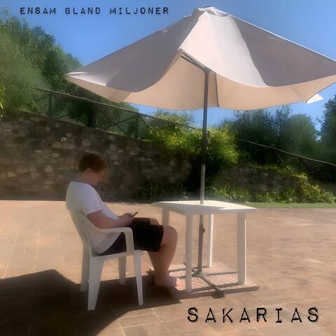 ENSAM BLAND MILJONER