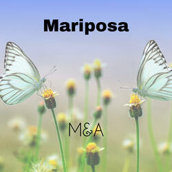 Mariposa