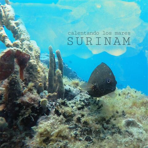 Calentando los mares