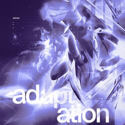 Adaptation