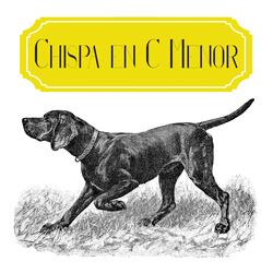 Chispa en C menor