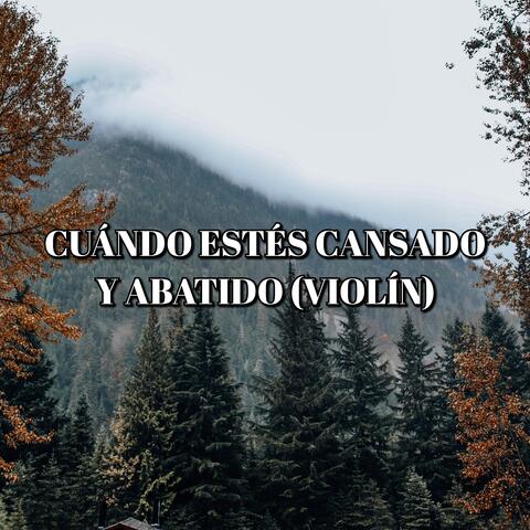 Cuándo estés cansado y abatido (violín)