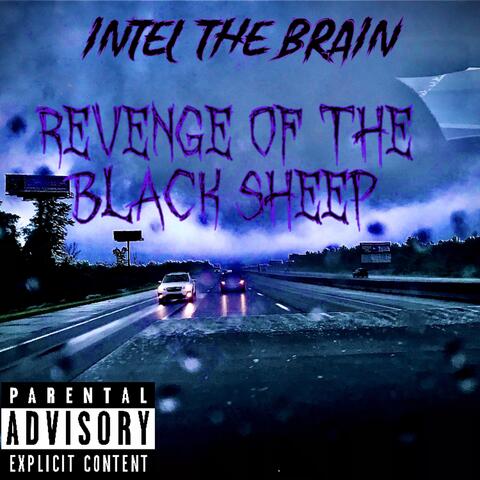 Revenge Of The Black Sheep