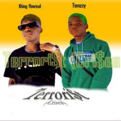 Terrorist (Crises)