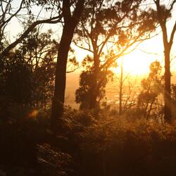 morning breeze
