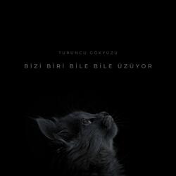 bizi biri bile bile üzüyor