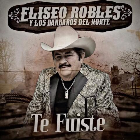 Te Fuiste