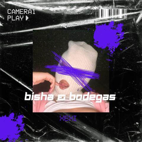 BISHA BODEGAS
