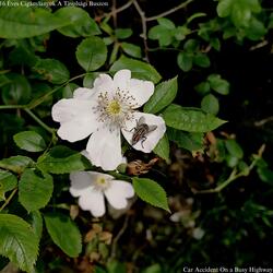 We Found Happiness In Our Youth