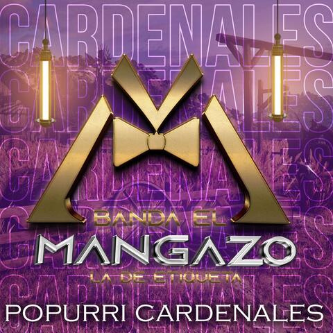 Popurri cardenales