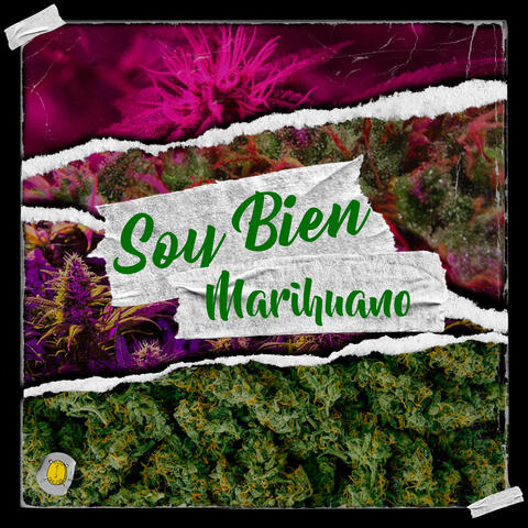 SOY BIEN MARIHUANO
