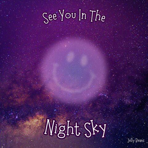 See You In The Night Sky