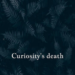 Curiosity's death