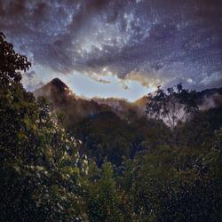 ASMR for Sleep: Dreamy Rainforest at Night