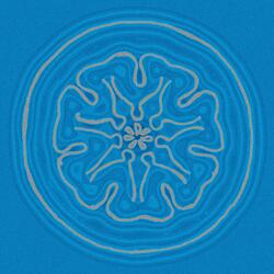 Jag skådar ut i världen