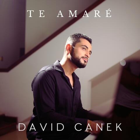 Te Amaré