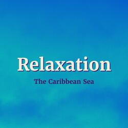 Relaxing Beach Waves 2
