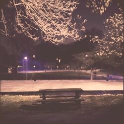 The First Day of Spring (Reprise)